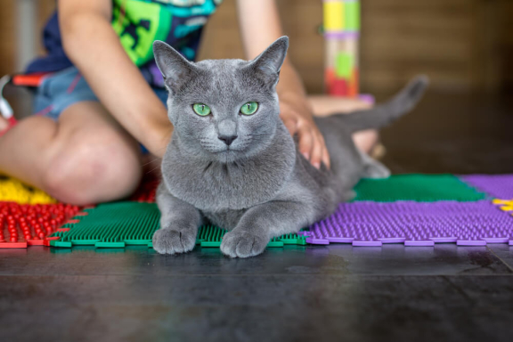 Поведение с детьми и другими питомцами